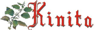 Kinita